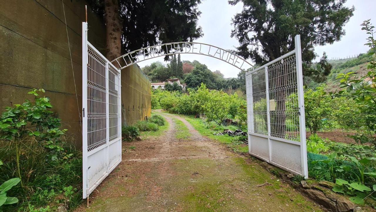 Finca Los Arcos Del Laurel Moya  Exterior foto