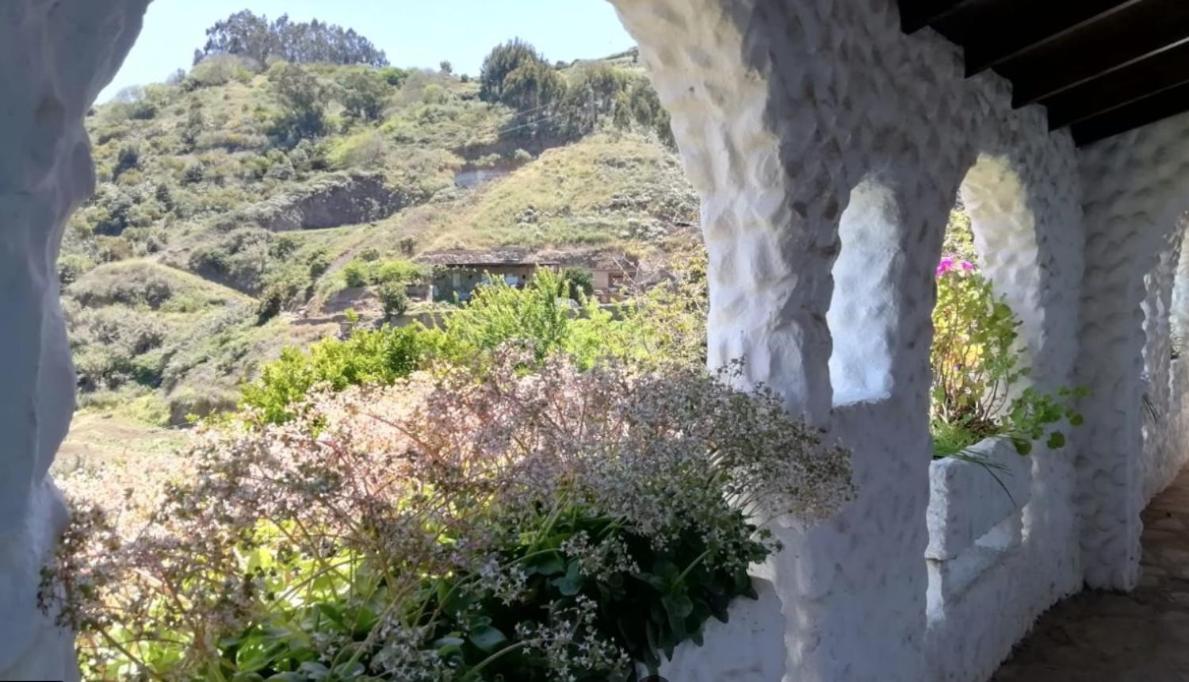 Finca Los Arcos Del Laurel Moya  Exterior foto